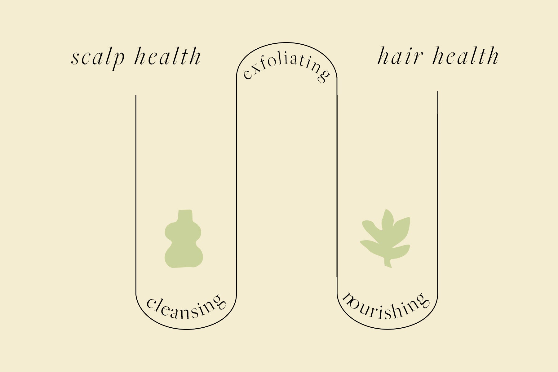 the scalp series no.2 ~ scalp health to hair health