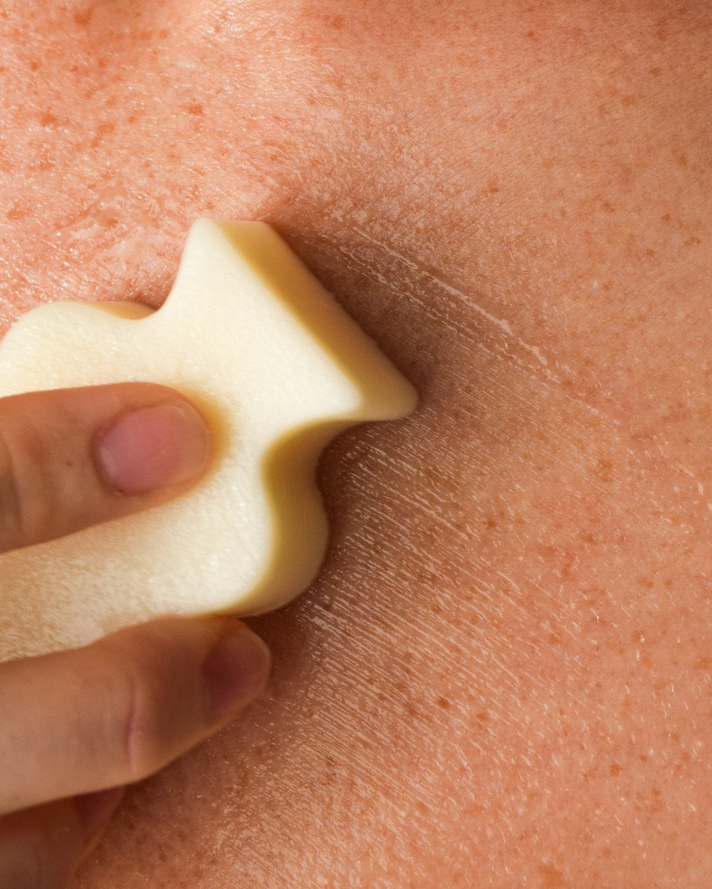 The Complete Clean Bundle - Flora Flora Co | Sustainable Botanical Hair Care